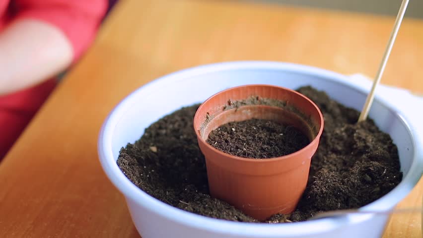 подготовка грунта