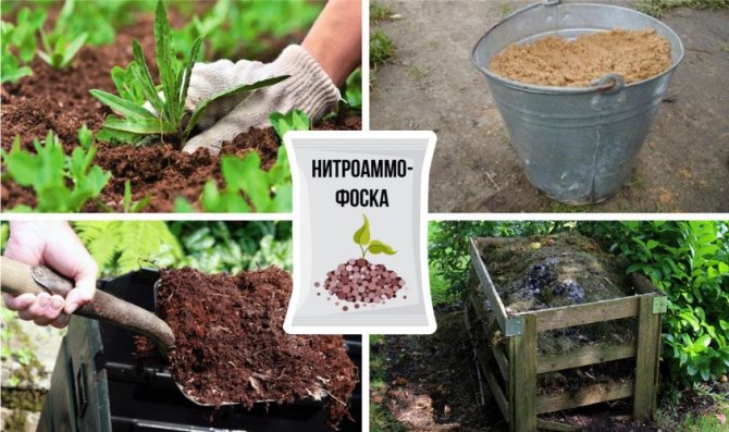 Подготовка почвы к посадке