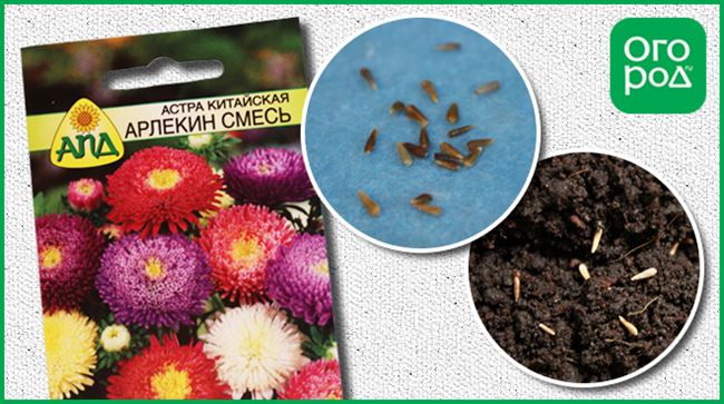 Посев семян