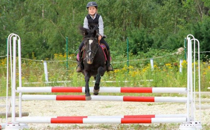 Ребенок на лошади