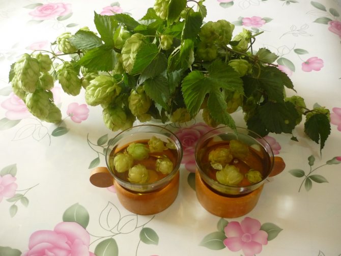 Шишки хмеля