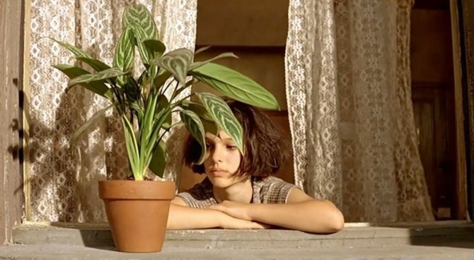 ТОП-12 цветов для детской комнаты