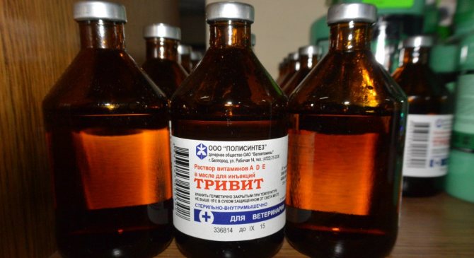 Тривит для цыплят и молодок - как применять тривитамин?