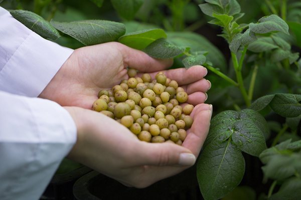 В Подмосковье, средней полосе