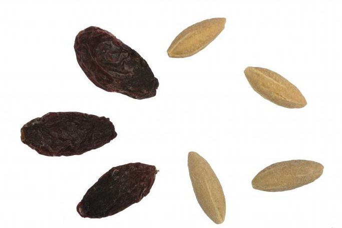 варенье из кизила с косточкой полезные свойства